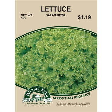 Wetsel Seed Lettuce - Salad Bowl
