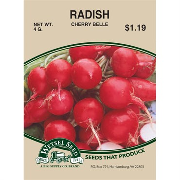 Wetsel Seed Radish - Cherry Belle