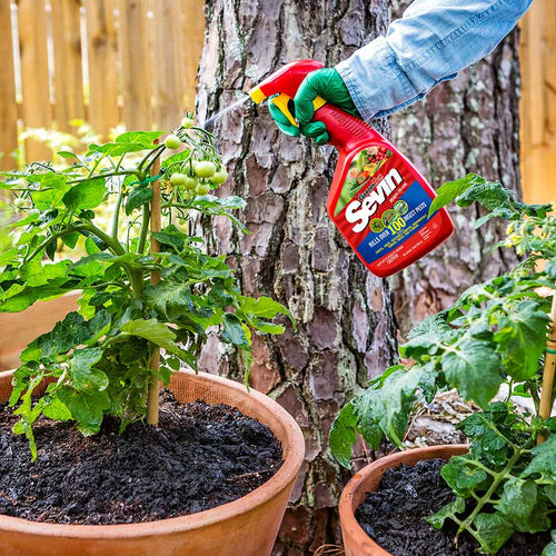 Garden Tech Sevin Ready-to-Use Insect Killer Power Sprayer