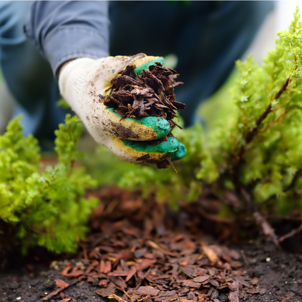 Lawn & Garden SuppliesHand holding mulch