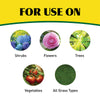 Pennington Ironite Minderal Supplement 1-0-1