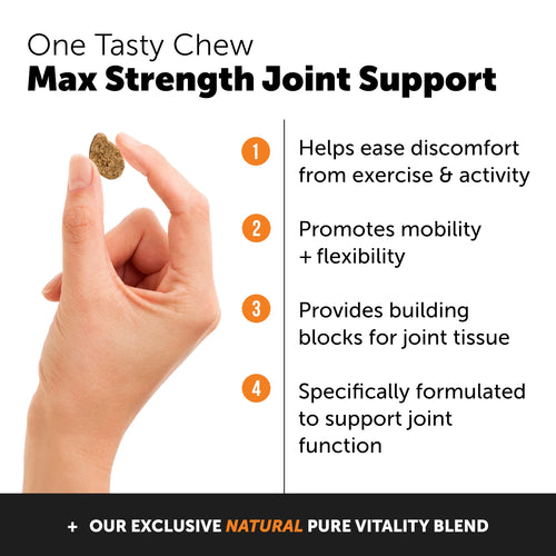 Pet Honesty Hip + Joint Health Max Strength Bacon Flavor for Dogs