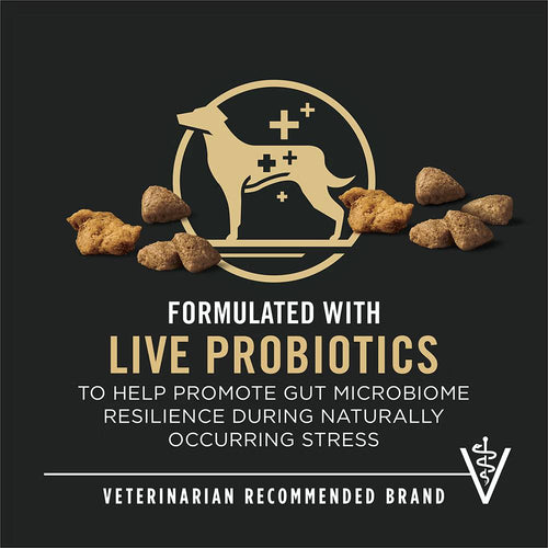 Purina Pro Plan Complete Essentials Shredded Blend Chicken & Rice with Probiotics Adult Dry Dog Food
