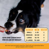 Pet Honesty Allergy Skin Health (Salmon Flavor)