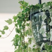 Curtis Wagner Plastics 10″ Hanging Basket Drip Pan